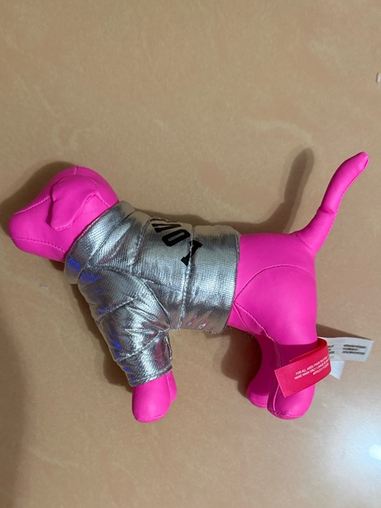 PINK Victoria's Secret Accessories - VS PINK